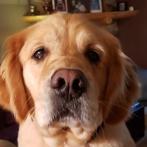 Meet your Posher, Jaxon